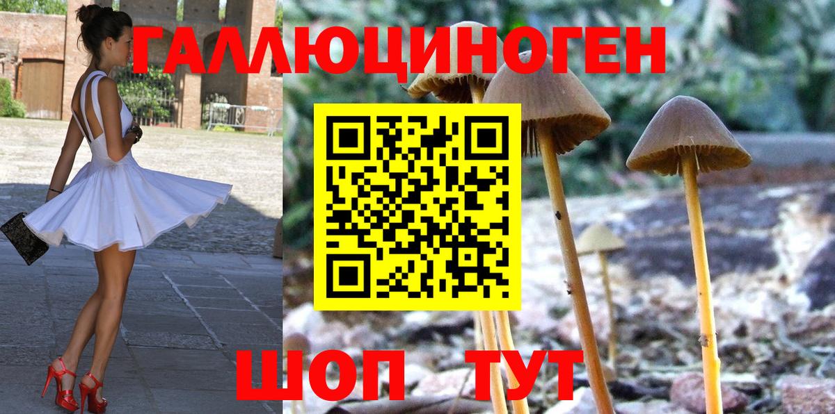 Галлюциногенные грибы ЛСД  Вход с VPN  Нижний Новгород 